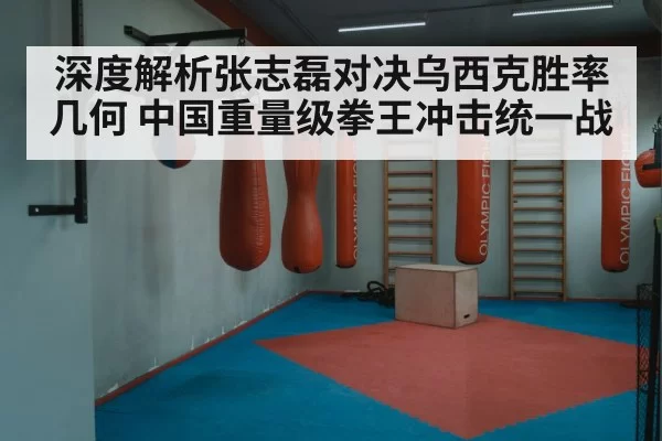 Oleksandr Usyk boxing