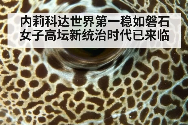 内莉科达世界第一稳如磐石 女子高坛新统治时代已来临